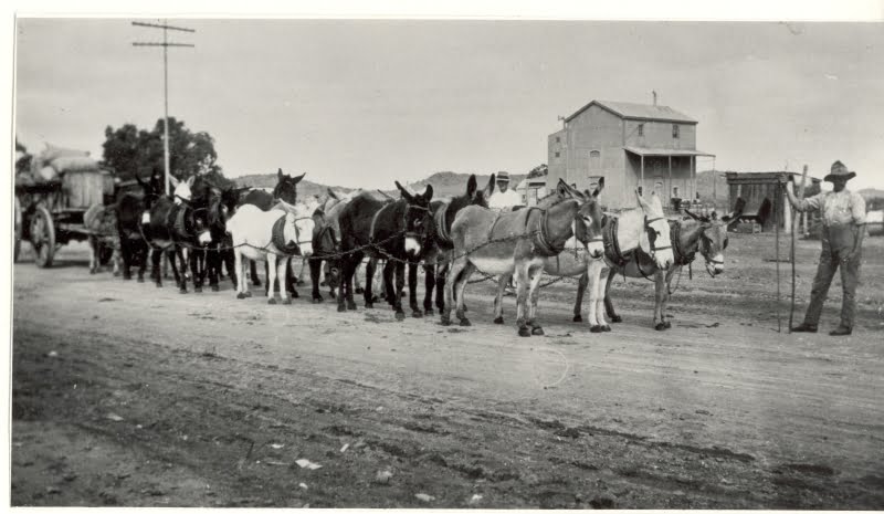 Donkey Team in front of mill.