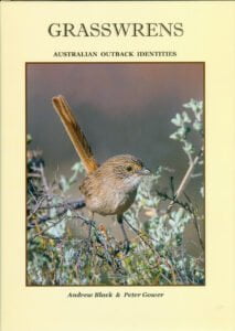Grasswrens in their avian family the Maluridae