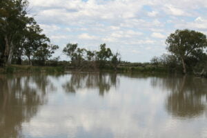 On the Darling river.