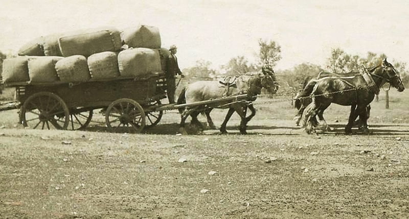1938 approx Ken with Waggon of wool 800